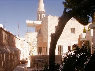 view from the back yard