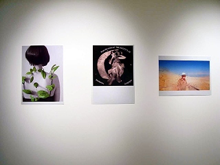 view on the show at MACRO